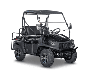 Bighorn 200 GVXL-T DF (High / Low Gear) Personal Golf Cart